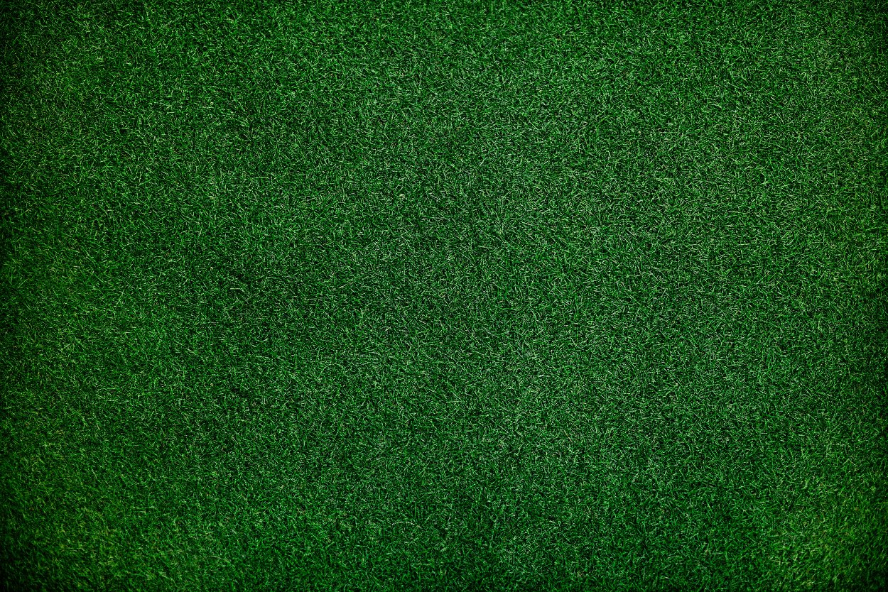 Unsplashed background img 3